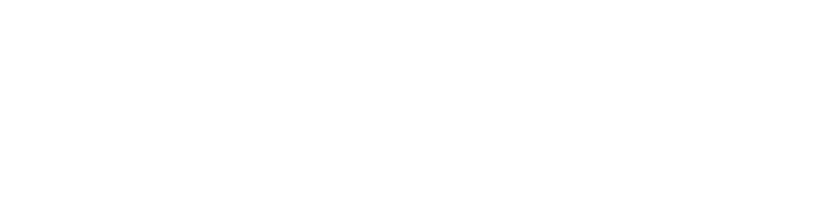 ZH-Security GmbH